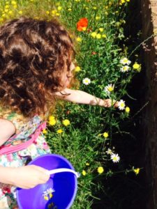 Arty Crafty Kids - Painting with Nature