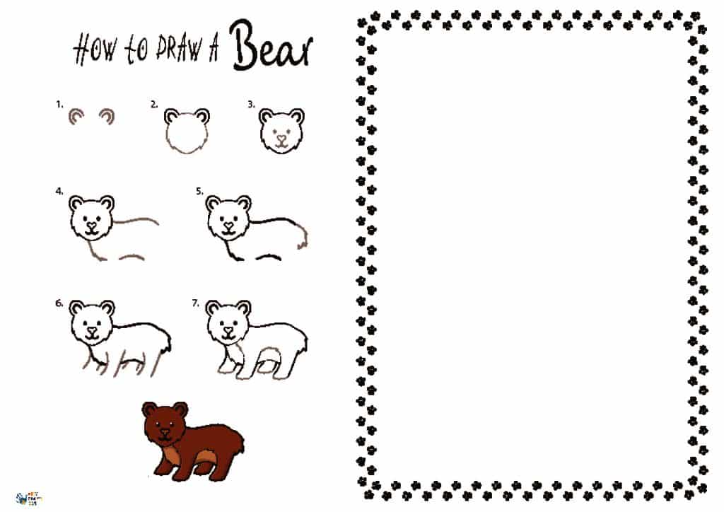 How to Draw a Bear | Arty Crafty Kids