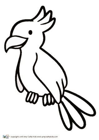 Parrot Outline | Arty Crafty Kids