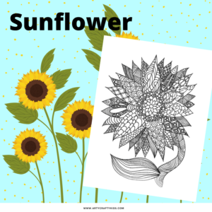 Sunflower