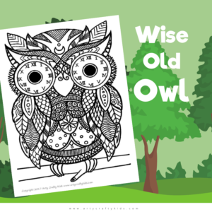 Wise Old Owl