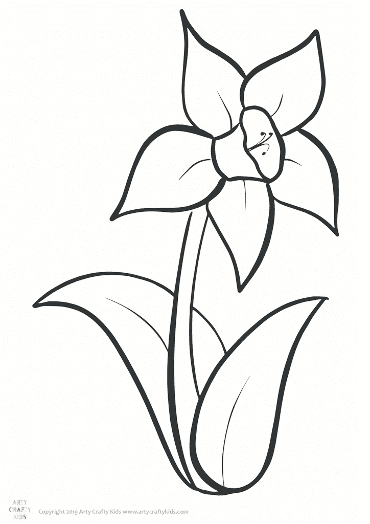 Daffodil Colouring Page Arty Crafty Kids Daffodil Colouring Page Arty Crafty Kids