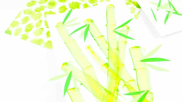 Arty Crafty Kids | Create a bamboo effect using the scrape painting technique. A fun art idea for kids to try.