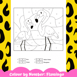 Flamingo Colour by Number