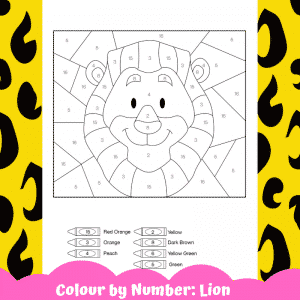 Lion Head Colour by Number