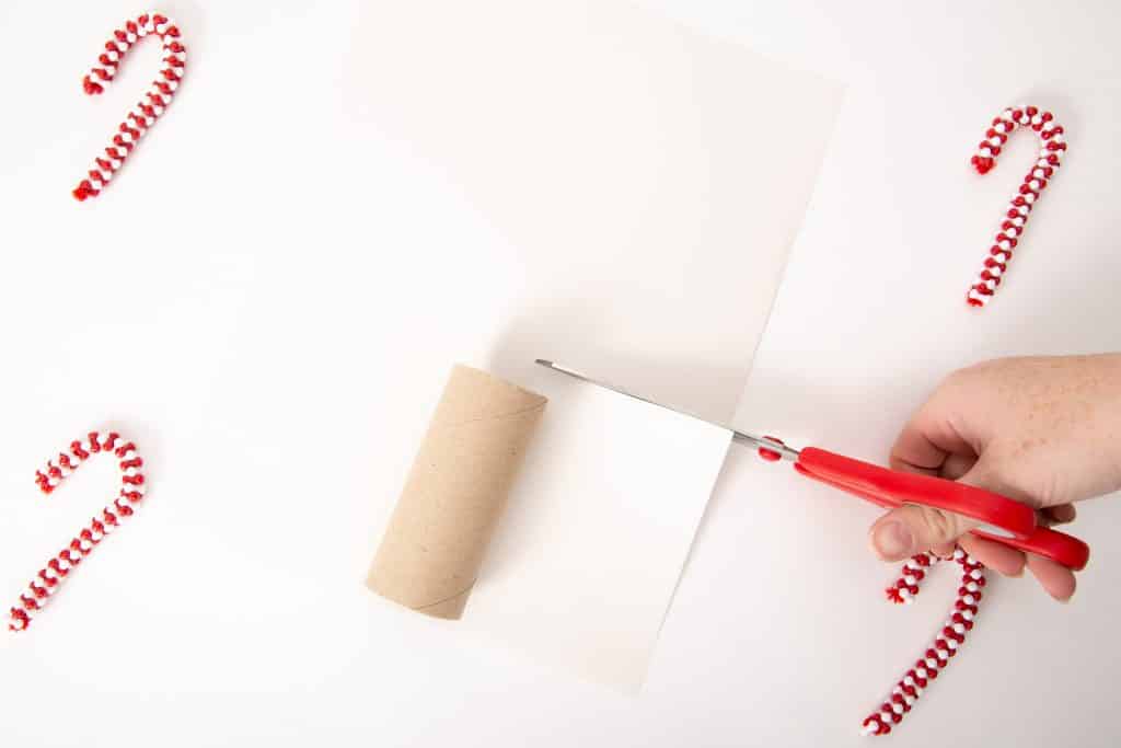 Make a recycled Toilet Paper Roll Snowman craft with the kids. A fun and easy Christmas craft that kids will love!