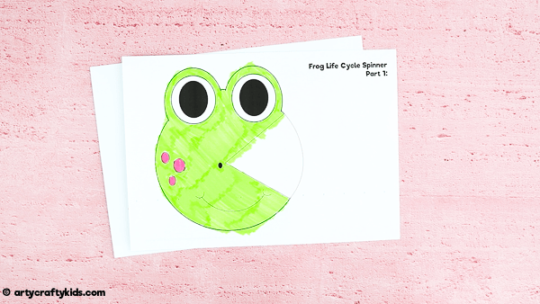 Explore the life cycle of a frog with this fun and engaging frog life cycle spinner craft. A great learning resource for kids