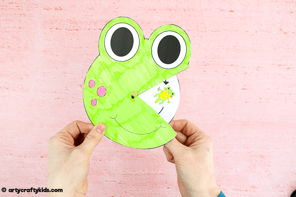 Explore the life cycle of a frog with this fun and engaging frog life cycle spinner craft. A great learning resource for kids