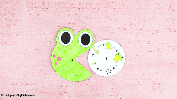 Explore the life cycle of a frog with this fun and engaging frog life cycle spinner craft. A great learning resource for kids