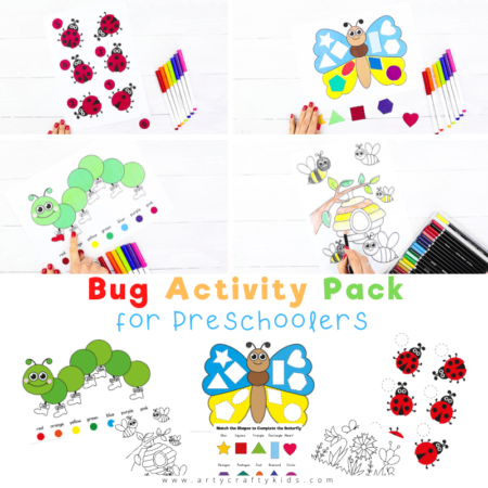 Bug Activity Pack for Preschoolers