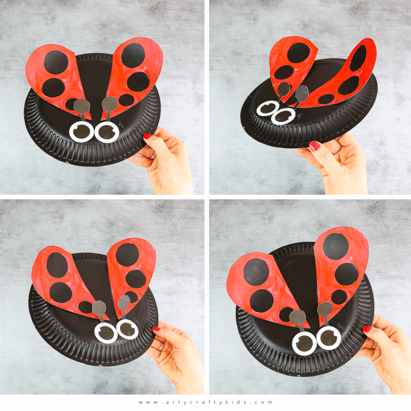Paper Plate Lady bug Craft for Kids