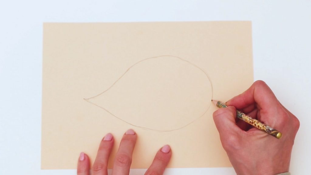 Draw a Horizontal Raindrop Shape