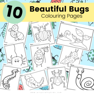 10 Beautiful Bugs Colouring Pages