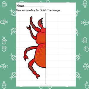 Red Beetle Symmetry Drawing Prompt - Learning Symmetry - How to Draw
