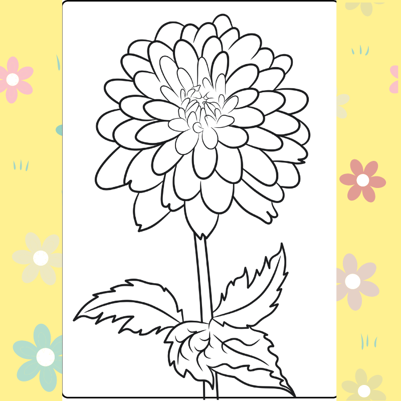 Daisy Flower And Rose Flower Adult Coloring Book Page Design Of