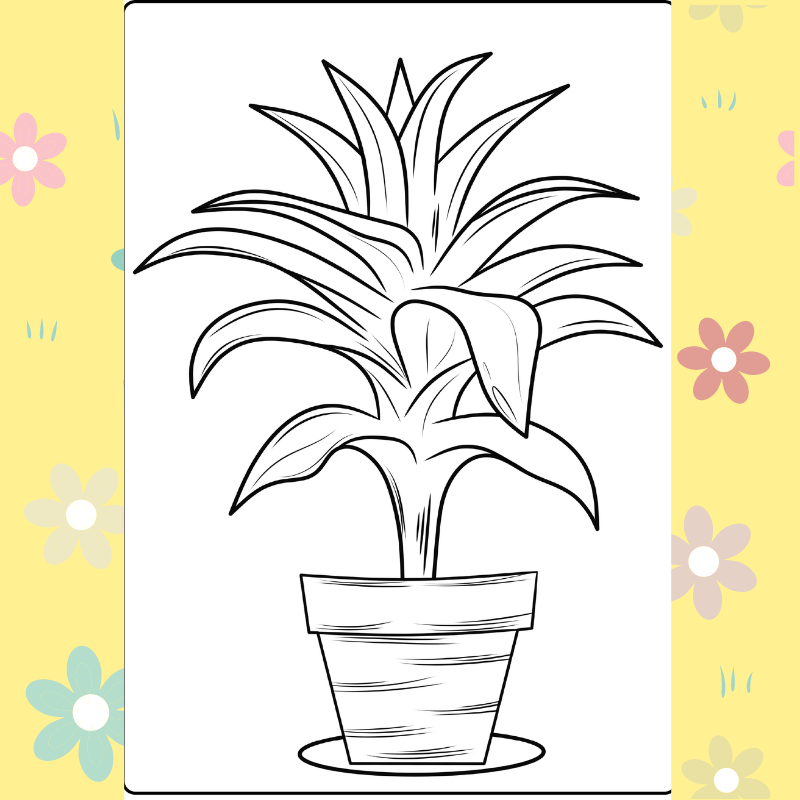 House Plant coloring page