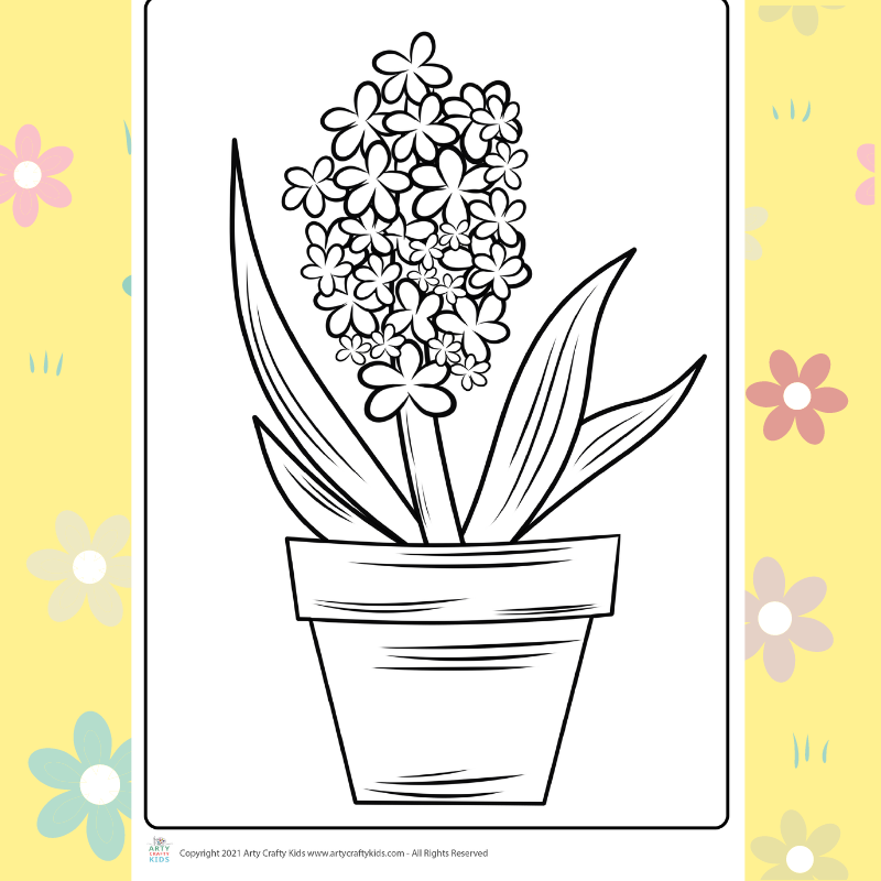 Hyacinth flower coloring page