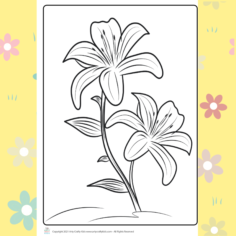 Lily Flower coloring page