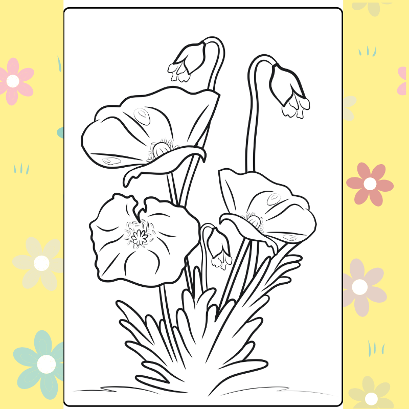 Poppy coloring page