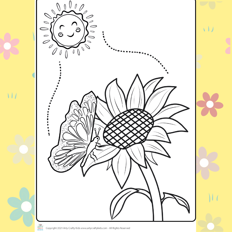 Sunflower coloring page