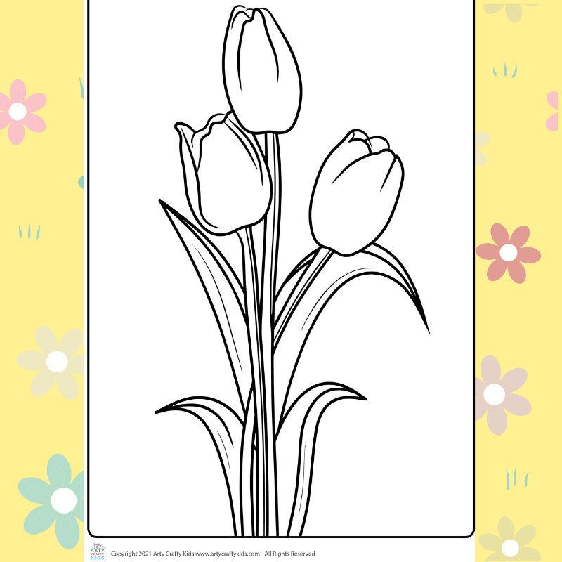 Tulips coloring page