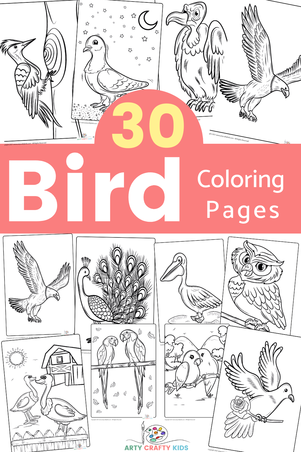 Bird Coloring Pages - 30 Bird Coloring Sheets - Arty Crafty Kids
