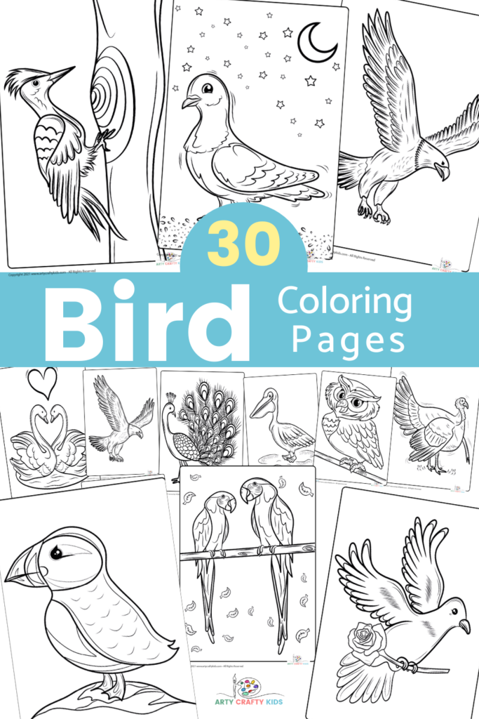 30 Bird Coloring Pages for Kids - A fantastic collection of bird coloring sheets featuring eagles, owls, puffins, peacocks, flamingos and more!