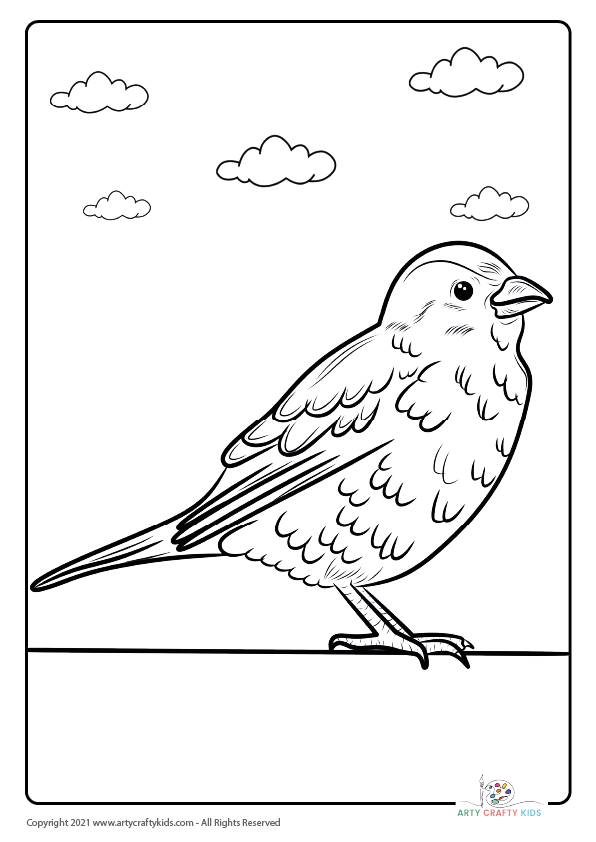 A bird on a wall coloring page featuring a small sparrow.