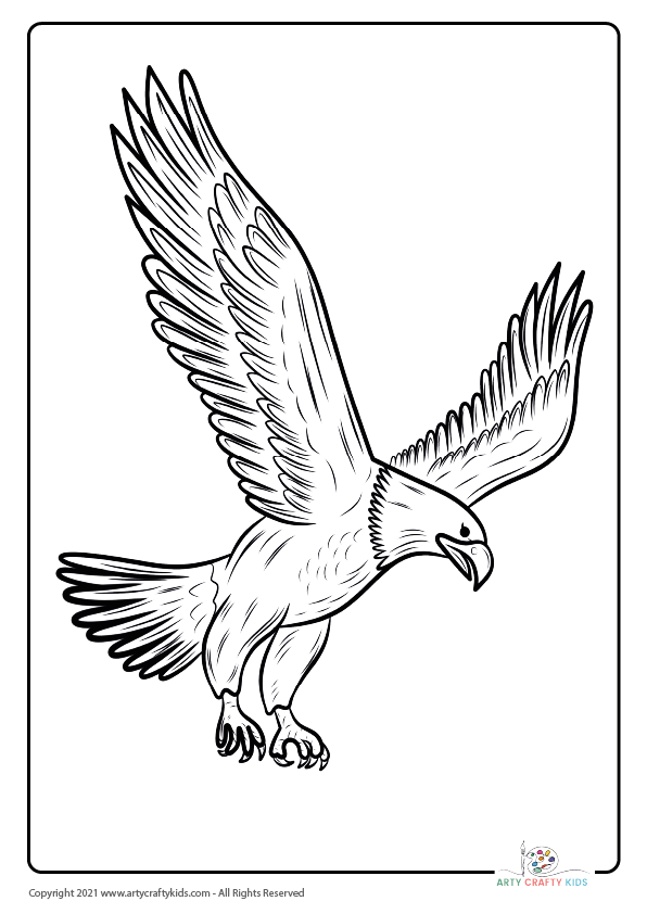 Bird Coloring Pages: From our bird coloring book, this page features an Bald Eagle coloring page.