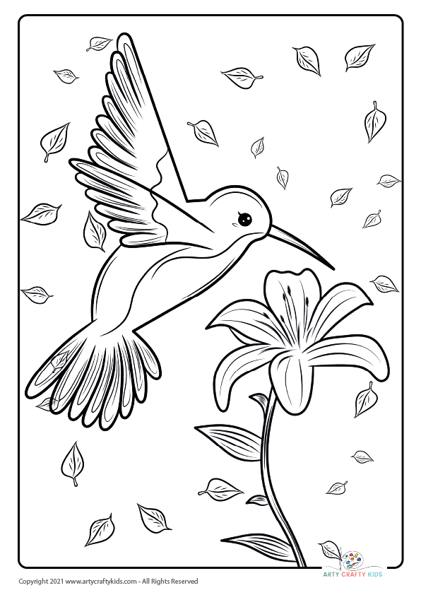 Bird Coloring Pages: From our bird coloring book, this page features a Humming Bird coloring page.