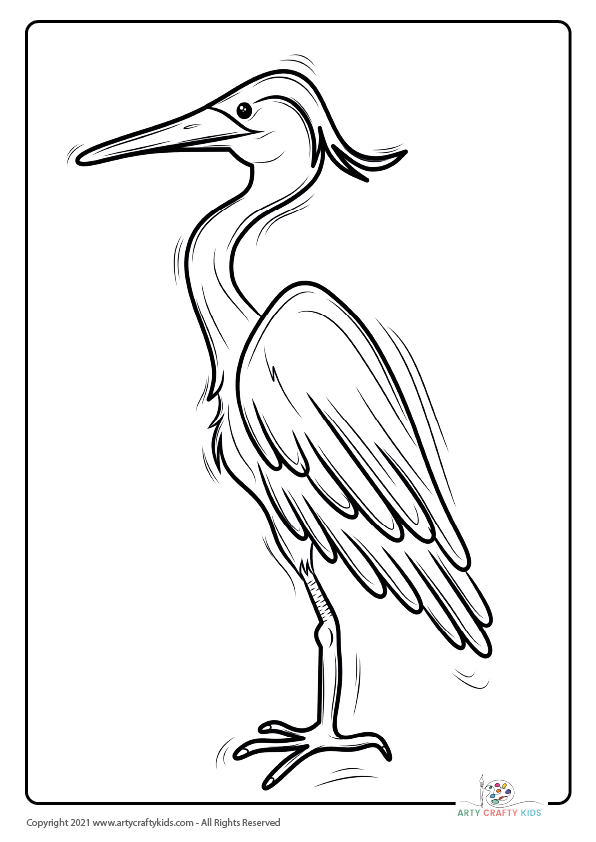 Bird Coloring Pages: From our bird coloring book, this page features a Heron coloring page.