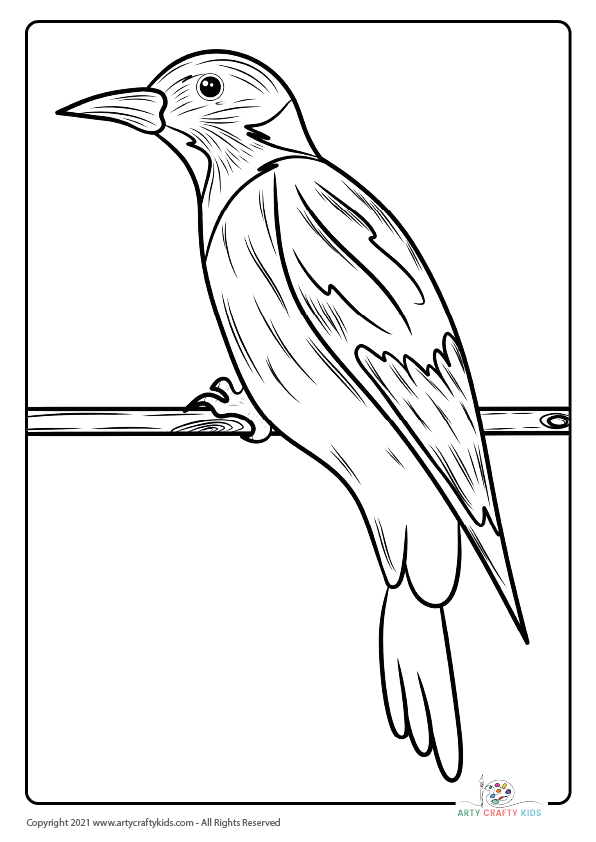 Bird Coloring Pages: From our bird coloring book, this page features a Jay Bird coloring page.