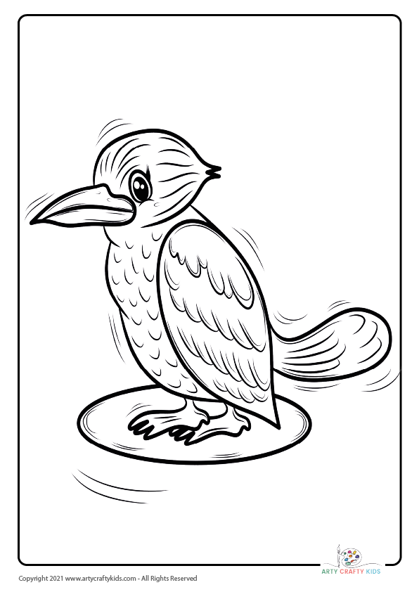 Bird Coloring Pages: From our bird coloring book, this page features a Kookaburra coloring page.