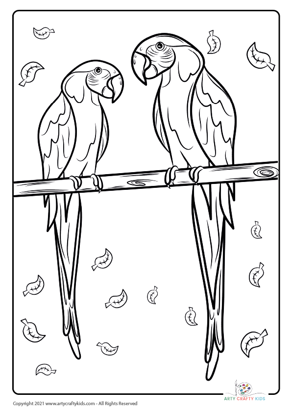 Bird Coloring Pages: From our bird coloring book, this page features a Macaw Parrot coloring page.