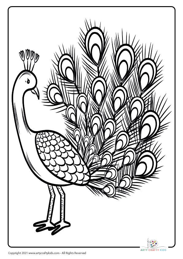 Funny Little Bird Coloring Page for Kids Gráfico por