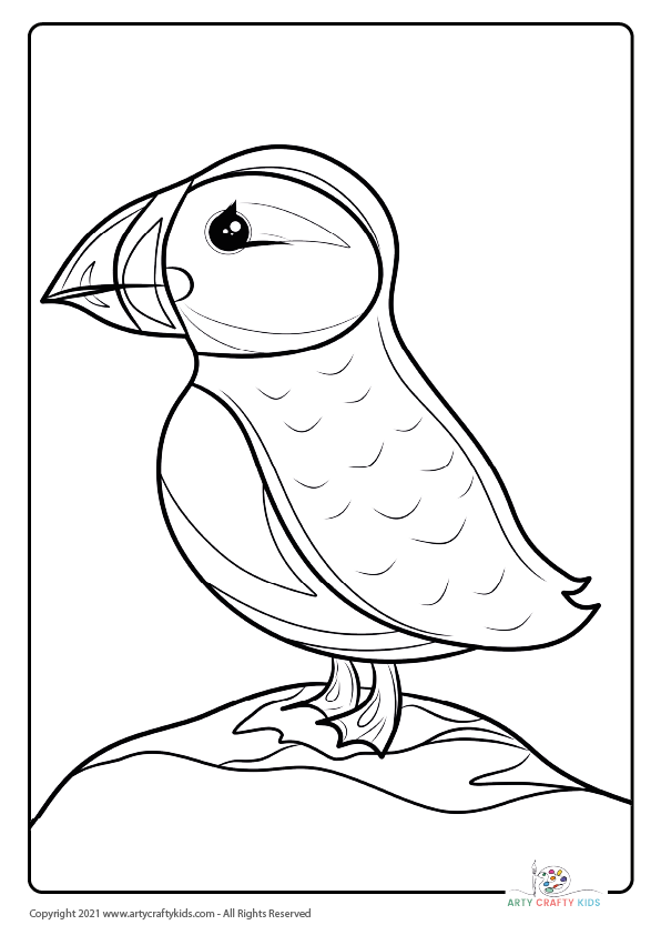 Bird Coloring Pages: From our bird coloring book, this page features a Puffin coloring page.