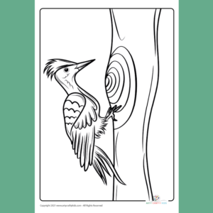 Woodpecker Coloring Page